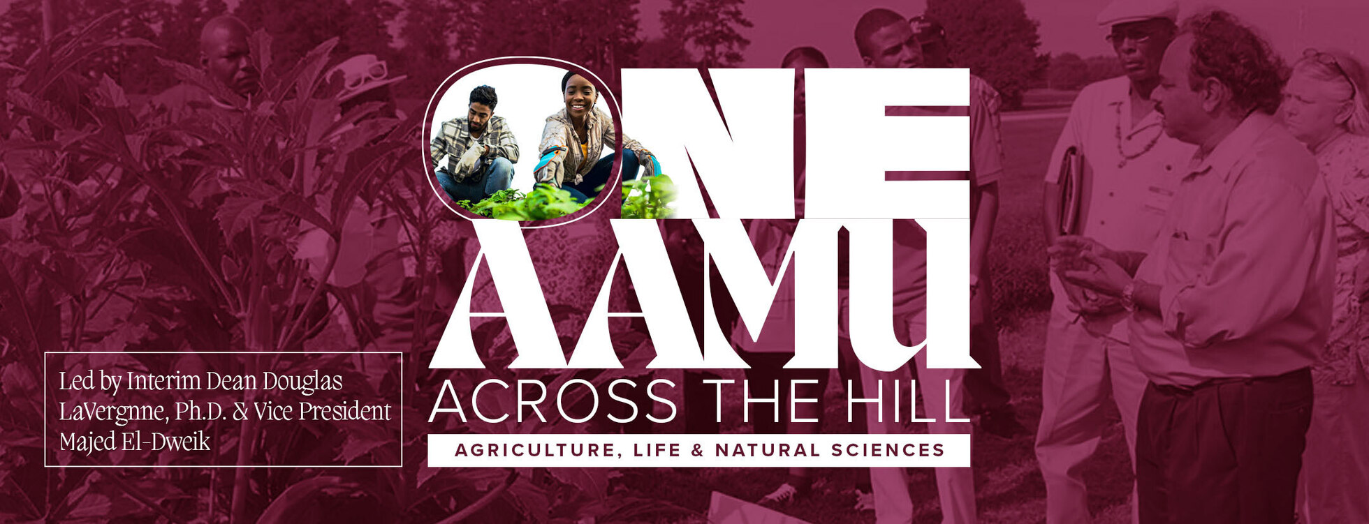 Across The Hill: One AAMU